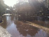 Back Road in front of Zillie's under the bright light of day. The tide went out and all that's left is rain puddles.